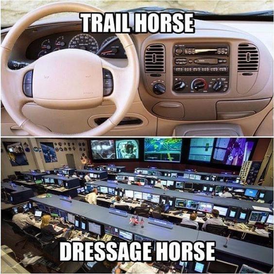 trail horse vs dressage horse meme - Trail Horse Gel 80 Lo Re Dressage Horse