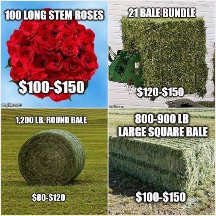 grass - 100 Long Stem Roses 21 Bale Bundle 21 $100$150 $120$150 imgiip.com 1200 Lb. Round Bale 800900 Lb Large Square Bale $80$120 $100$150