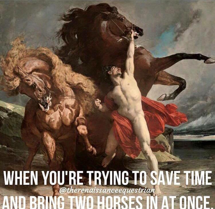 henri regnault automedon - When You'Re Trying To Save Time And Bring Two Horses In At Once.