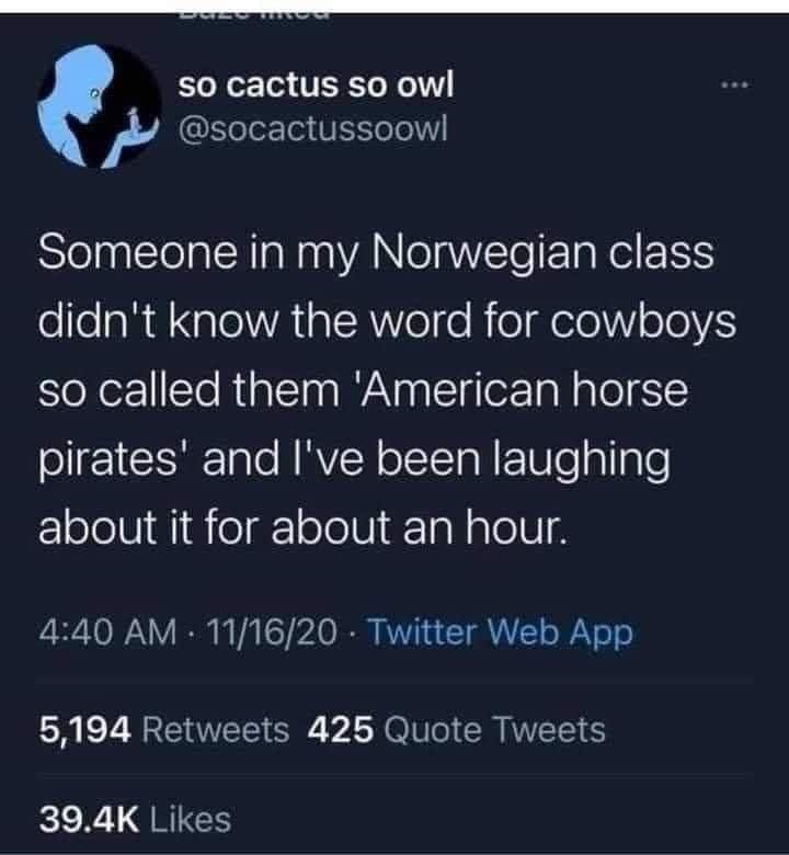 Horse - so cactus so owl Someone in my Norwegian class didn't know the word for cowboys so called them 'American horse pirates' and I've been laughing about it for about an hour. 111620 Twitter Web App 5,194 425 Quote Tweets