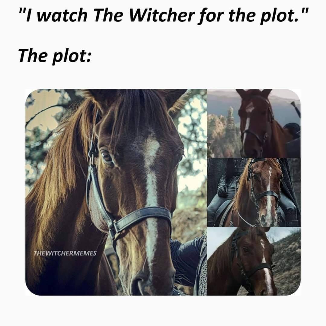 mane - "I watch The Witcher for the plot." The plot Thewitchermemes