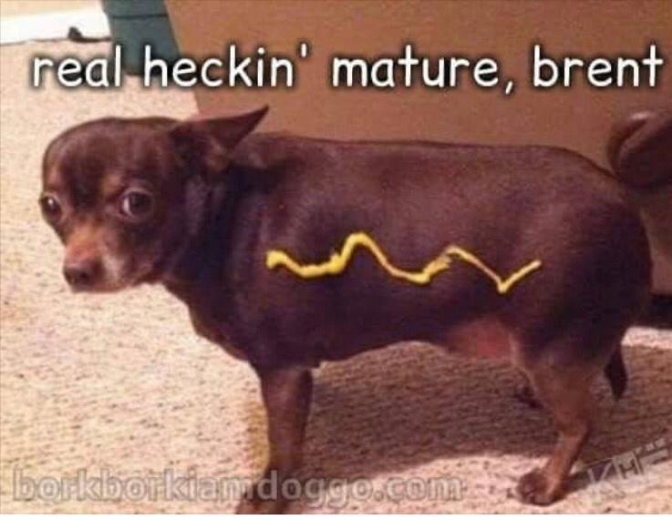 you think this is a game robert - real heckin' mature, brent borkborkiamdoggo.com