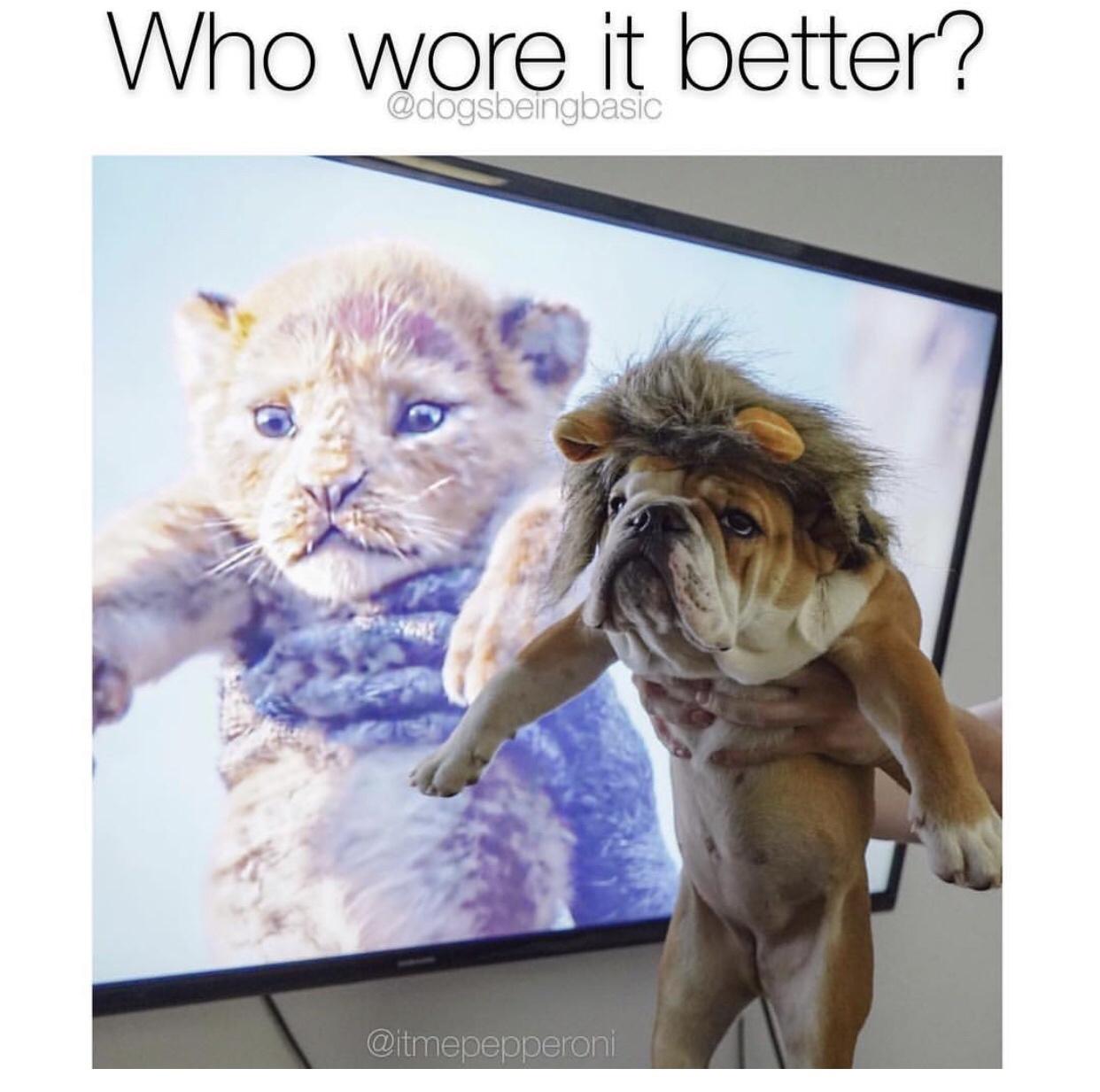 funny wholesome meme - Who wore it better?