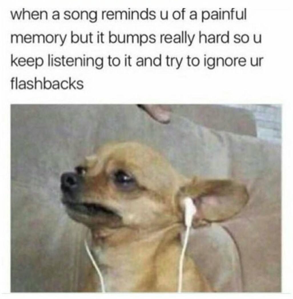 chihuahua crying meme - when a song reminds u of a painful memory but it bumps really hard so u keep listening to it and try to ignore ur flashbacks
