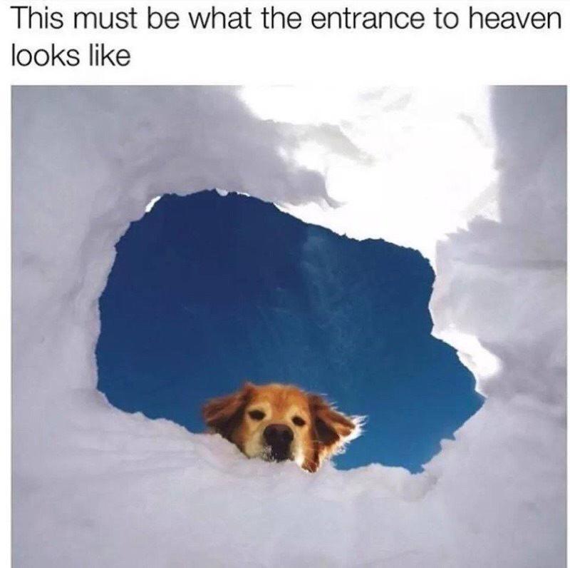 must be what the entrance to heaven looks like - This must be what the entrance to heaven looks