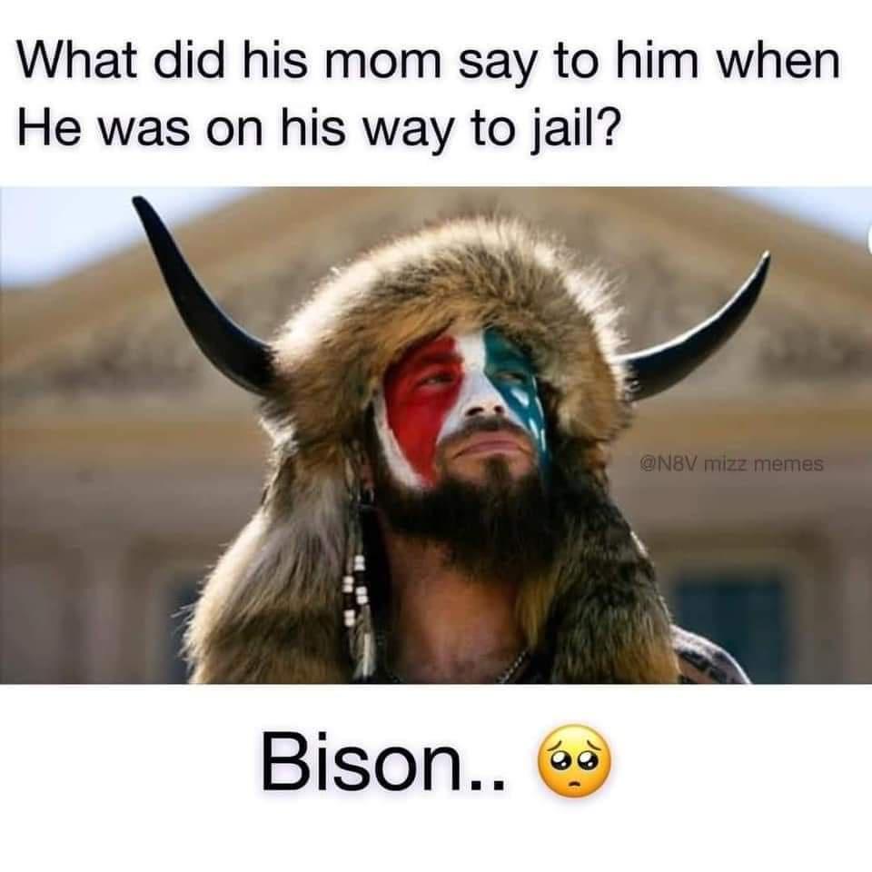 United States Capitol - What did his mom say to him when He was on his way to jail? mizz memes Bison..
