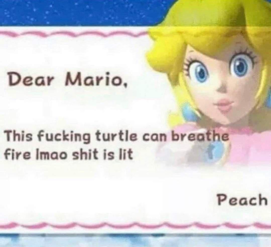 dear mario meme - Dear Mario, This fucking turtle can breathe fire Imao shit is lit Peach