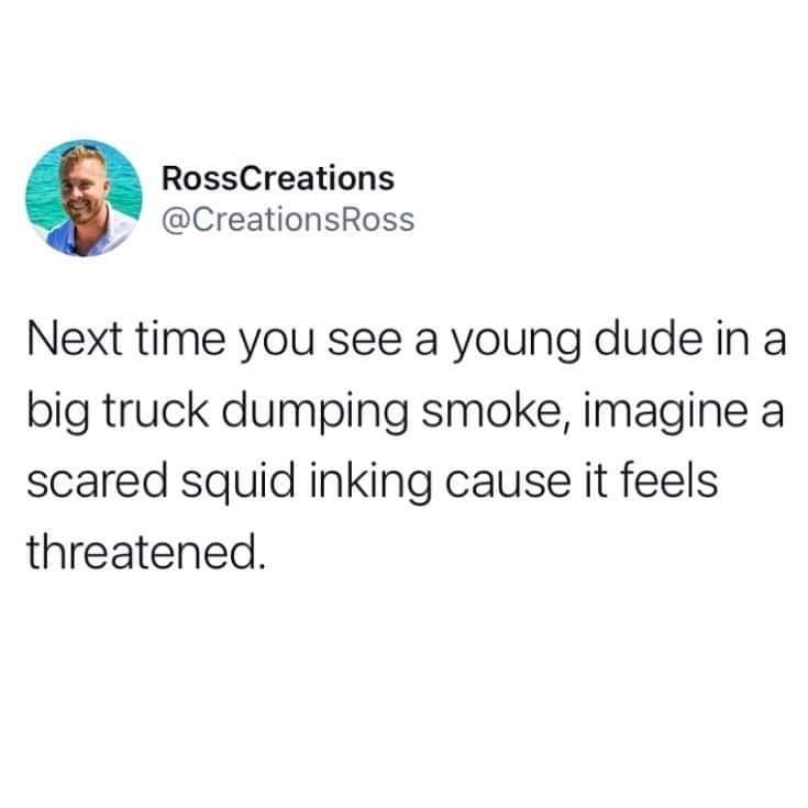 kindergarten meme debate - RossCreations Next time you see a young dude in a big truck dumping smoke, imagine a scared squid inking cause it feels threatened.