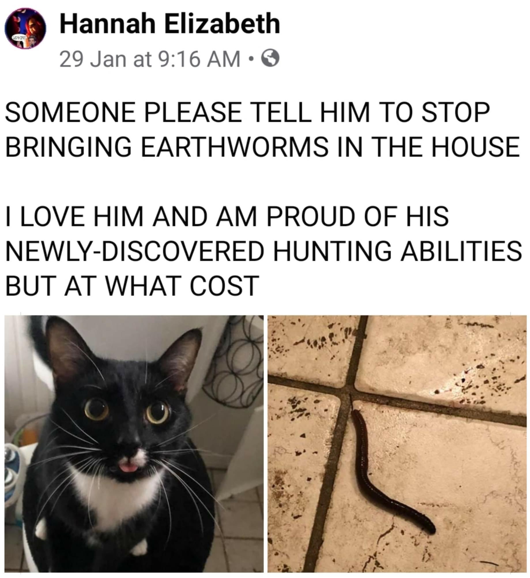 fauna - Hannah Elizabeth 29 Jan at Someone Please Tell Him To Stop Bringing Earthworms In The House I Love Him And Am Proud Of His NewlyDiscovered Hunting Abilities But At What Cost