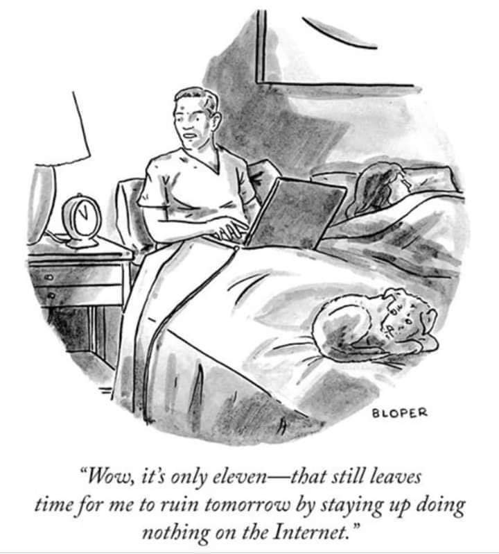 new yorker cartoons wow it's only eleven - Bloper Wow, it's only eleventhat still leaves time for me to ruin tomorrow by staying up doing nothing on the Internet."