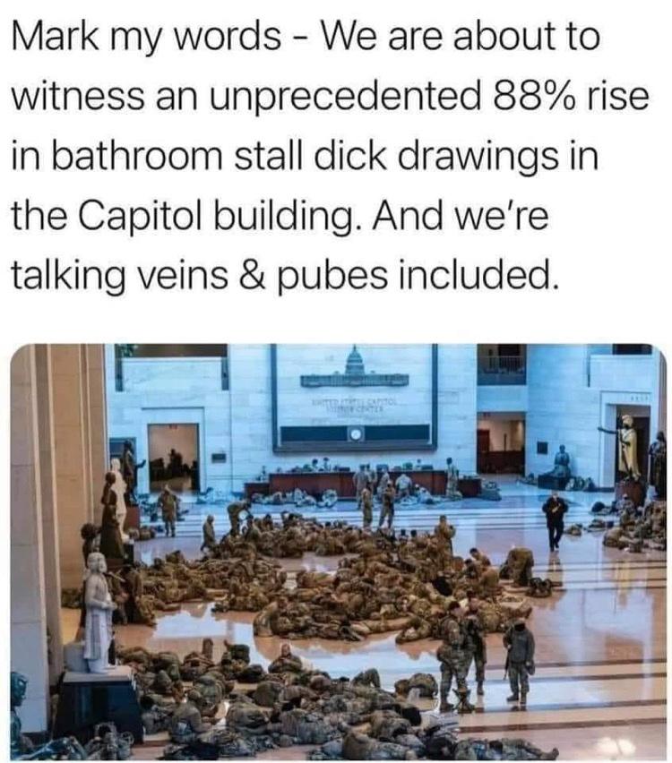 United States Capitol - Mark my words We are about to witness an unprecedented 88% rise in bathroom stall dick drawings in the Capitol building. And we're talking veins & pubes included.