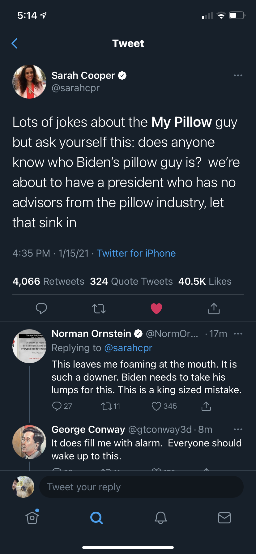 screenshot - Tweet Sarah Cooper Lots of jokes about the My Pillow guy but ask yourself this does anyone know who Biden's pillow guy is? we're about to have a president who has no advisors from the pillow industry, let that sink in 11521 Twitter for iPhone
