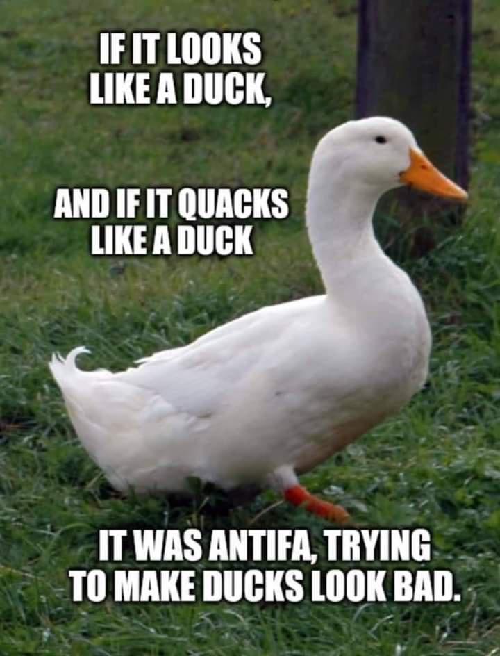 thank you for your ip - If It Looks A Duck, And If It Quacks A Duck It Was Antifa, Trying To Make Ducks Look Bad.