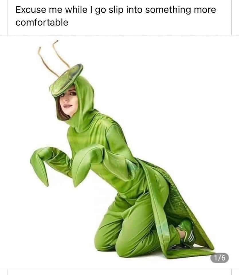praying mantis costume - more Excuse me while I go slip into something comfortable 16