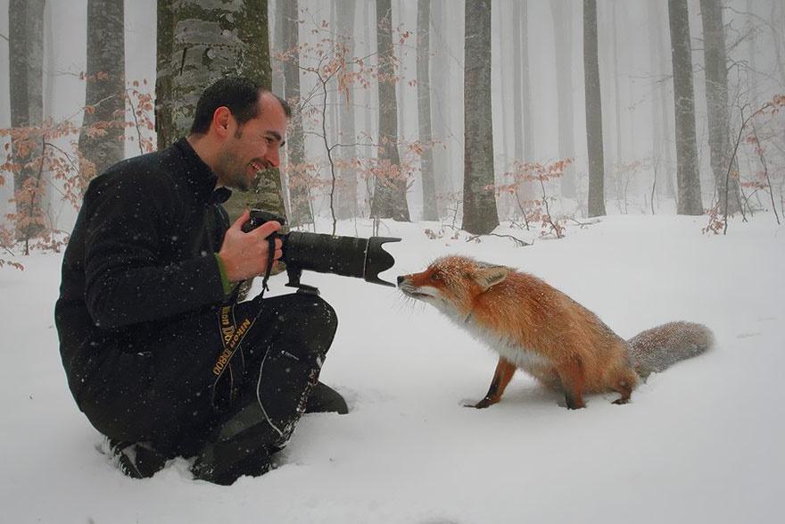 photographer animals