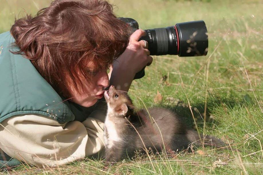 animals interrupting nature photographers
