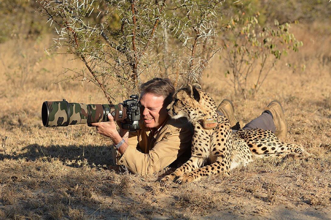 animals interrupting wildlife photographers
