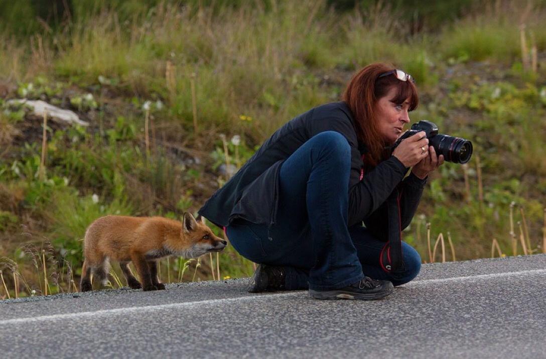 photographer with animals