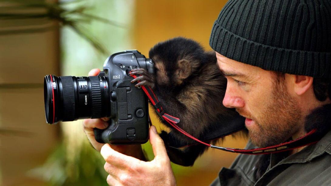 photographers and animals