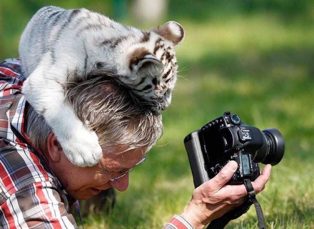 photographer and animals