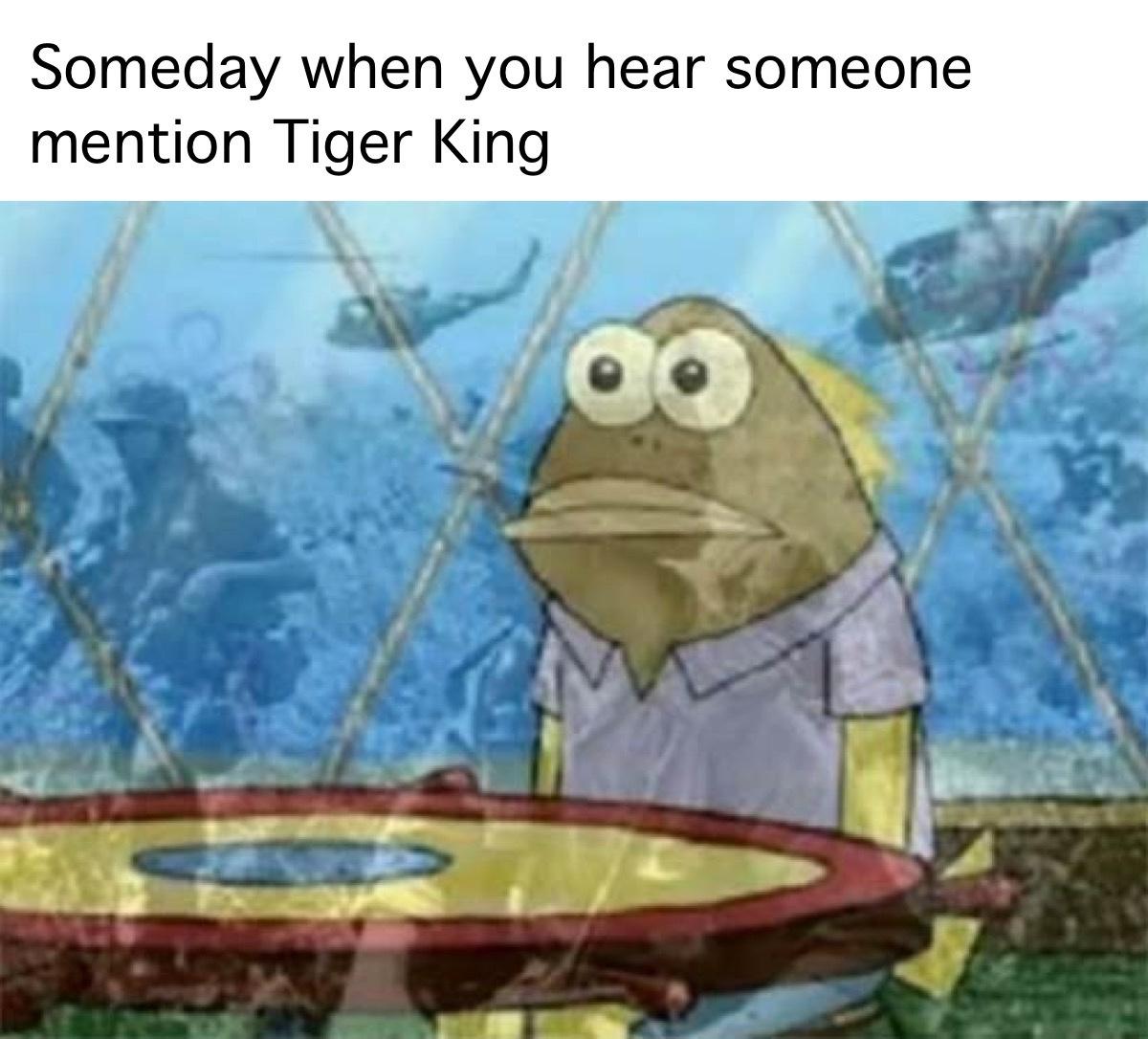 vietnam flashbacks meme template - Someday when you hear someone mention Tiger King