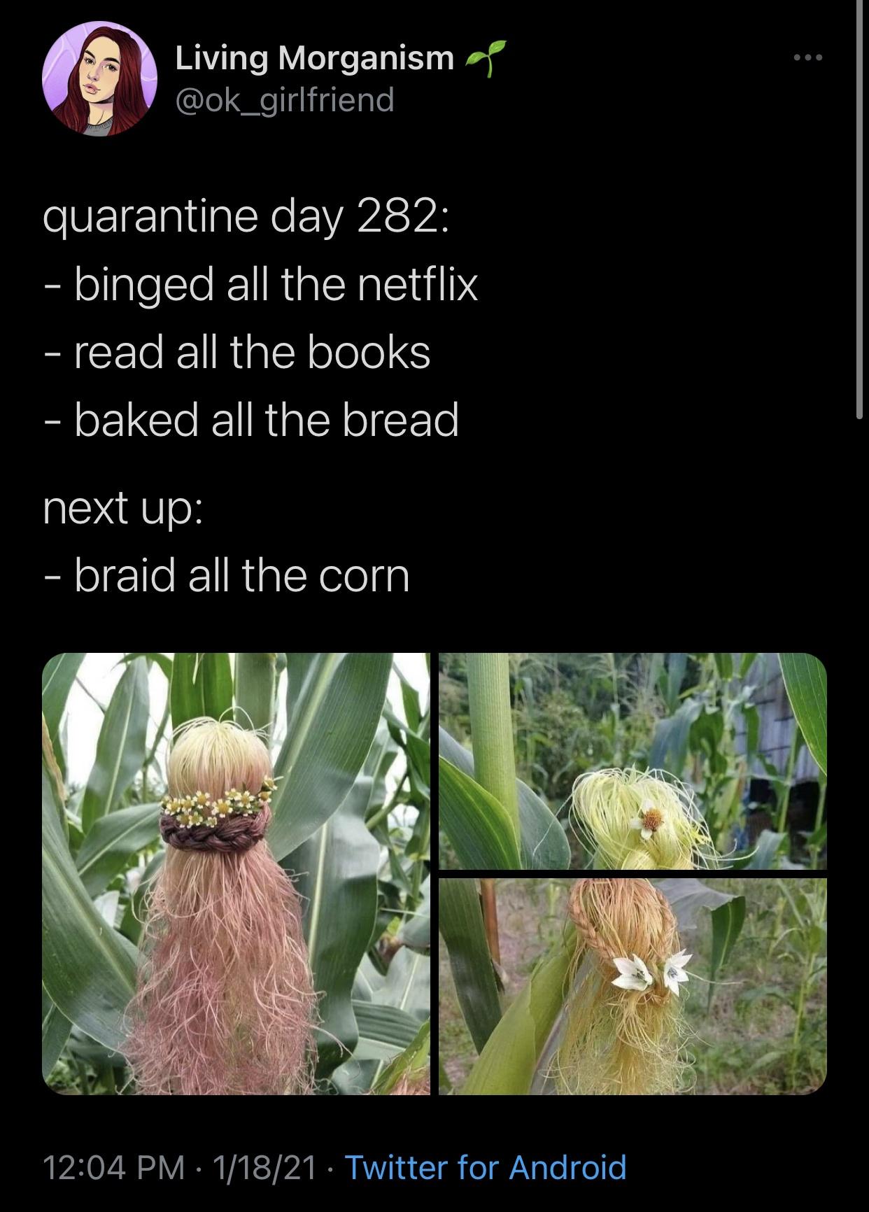 flora - Living Morganismo quarantine day 282 binged all the netflix read all the books baked all the bread next up braid all the corn 11821 Twitter for Android