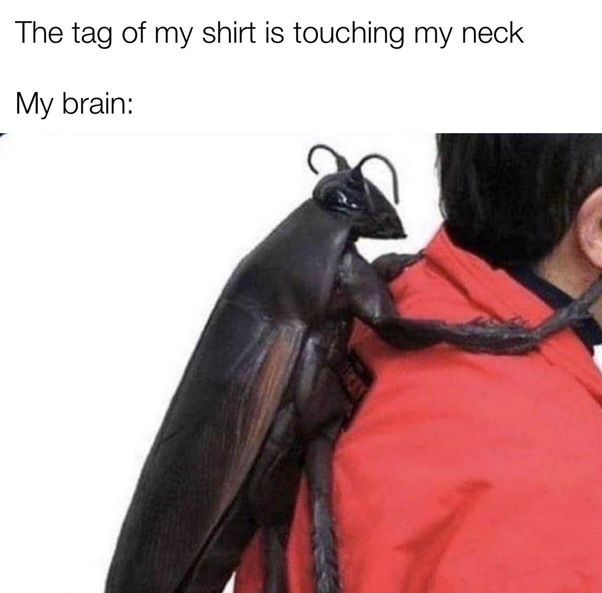 random pics - kafka backpack - The tag of my shirt is touching my neck My brain