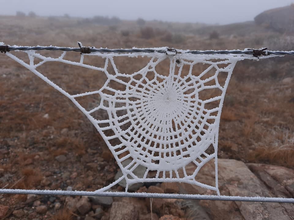 crochet spider web