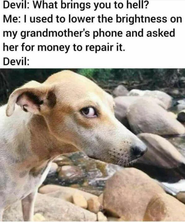 photo caption - Devil What brings you to hell? Me I used to lower the brightness on my grandmother's phone and asked her for money to repair it. Devil