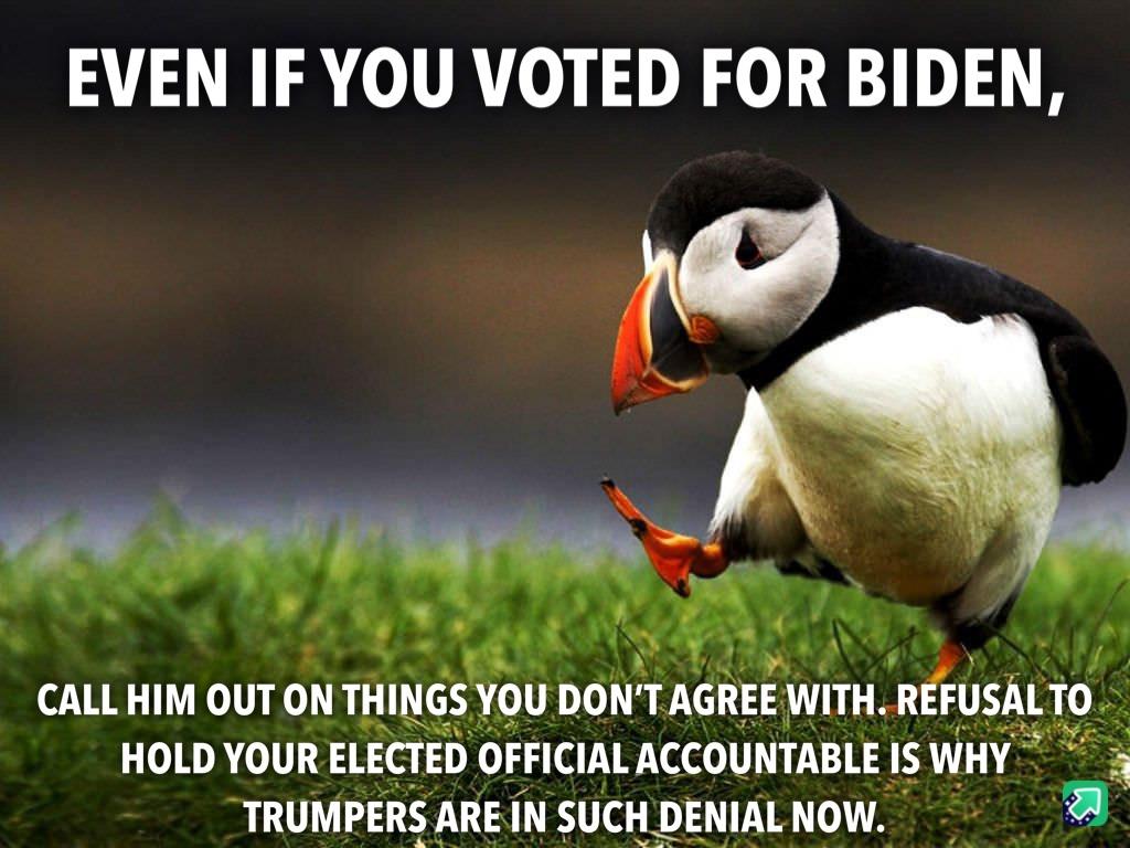 hate dogs meme - Even If You Voted For Biden, Call Him Out On Things You Don'T Agree With. Refusal To Hold Your Elected Official Accountable Is Why Trumpers Are In Such Denial Now.