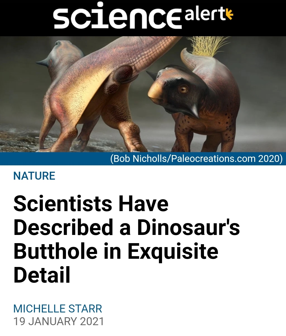 subscribe button youtube - science alert Bob NichollsPaleocreations.com 2020 Nature Scientists Have Described a Dinosaur's Butthole in Exquisite Detail Michelle Starr