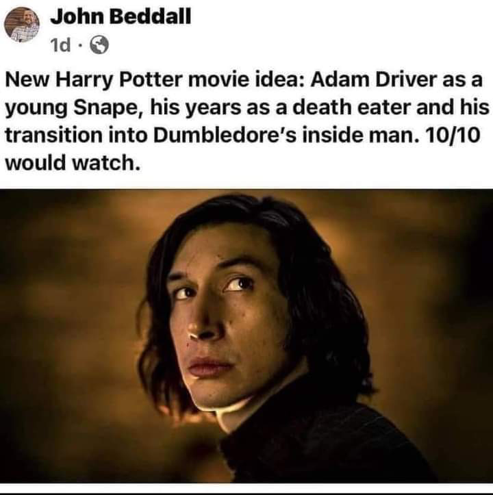 funny pics - New Harry Potter movie idea Adam Driver as a young Snape, his years as a death eater and his transition into Dumbledore's inside man. 10/10 would watch.
