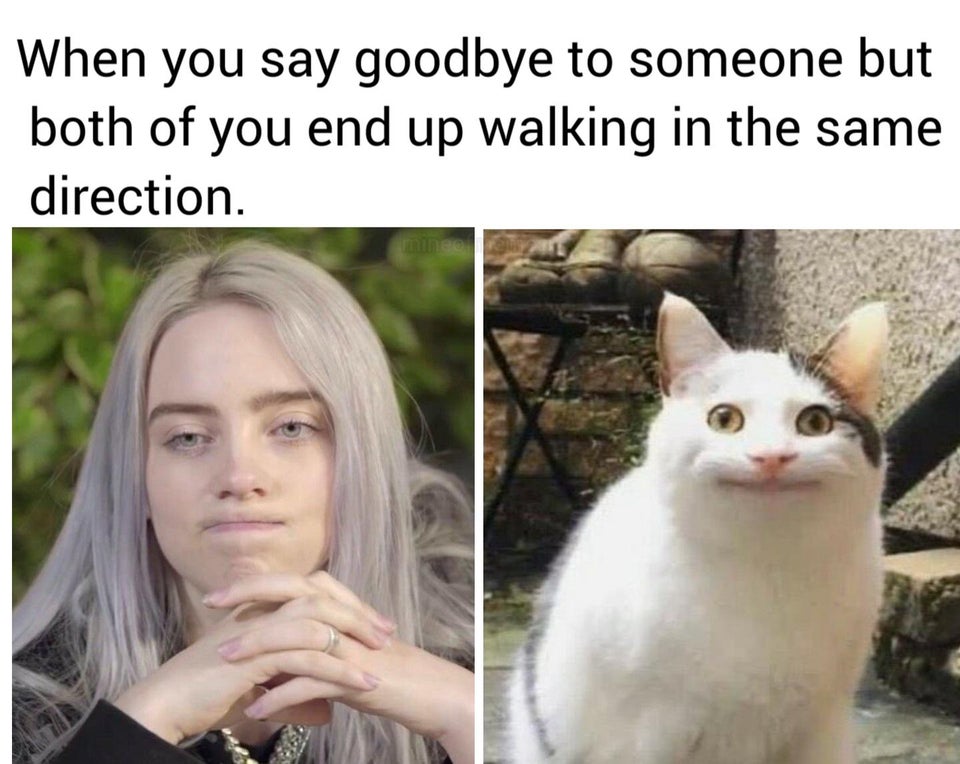 best cat meme - When you say goodbye to someone but both of you end up walking in the same direction.