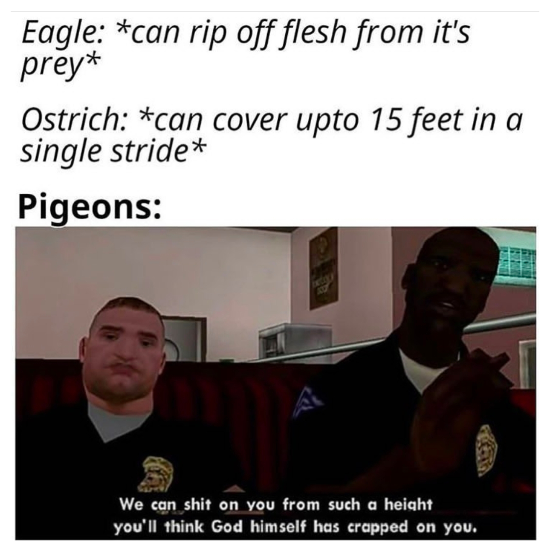 pigeon gta meme - Eagle can rip off flesh from it's prey Ostrich can cover upto 15 feet in a single stride Pigeons We can shit on you from such a height you'll think God himself has crapped on you.