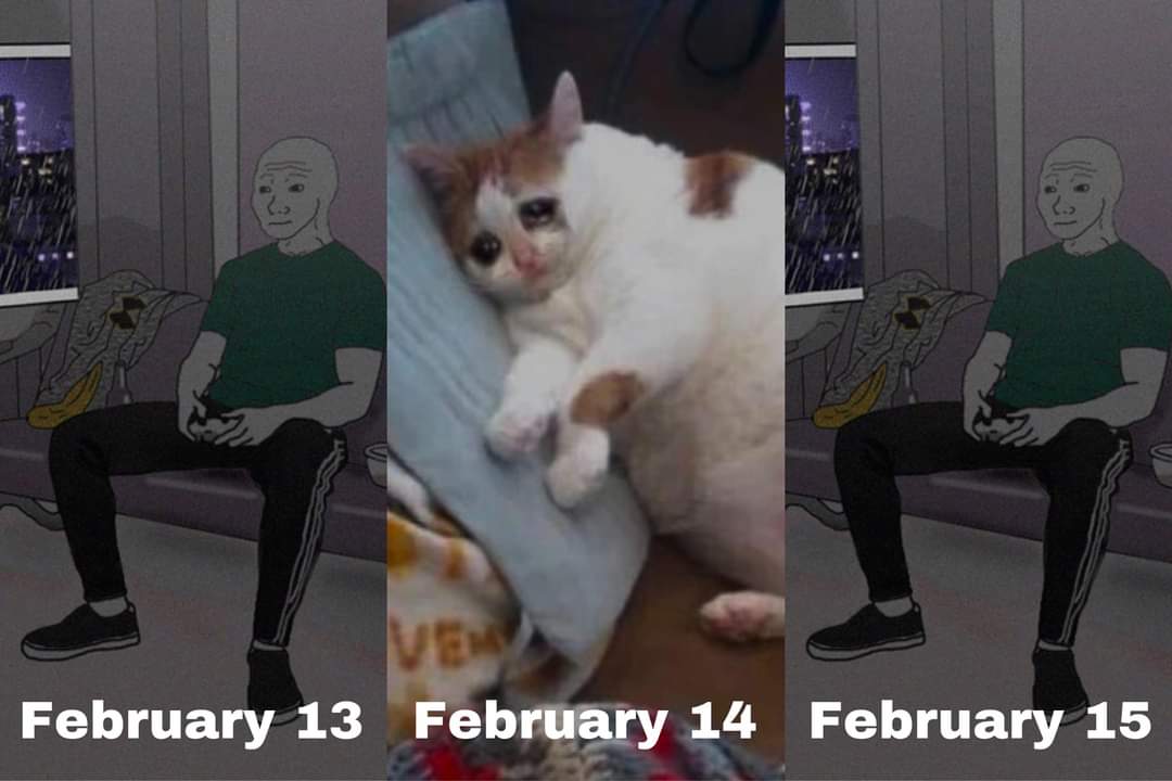 cat - February 13 February 14 February 15