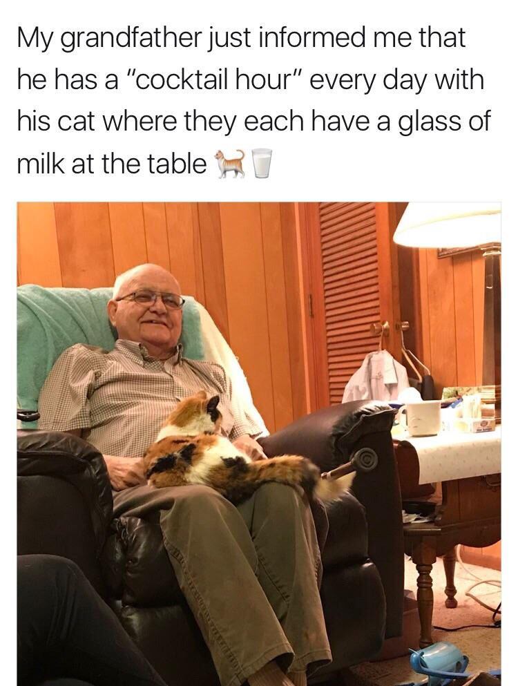 wholesome funny memes - My grandfather just informed me that he has a "cocktail hour" every day with his cat where they each have a glass of milk at the table