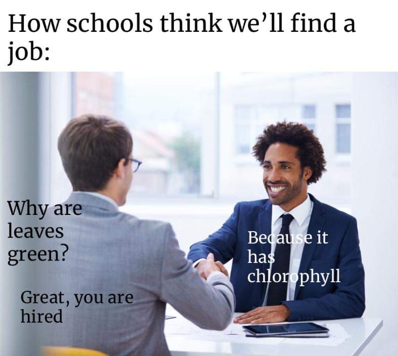 people in an interview - How schools think we'll find a job Why are leaves green? Because it has chlorophyll Great, you are hired
