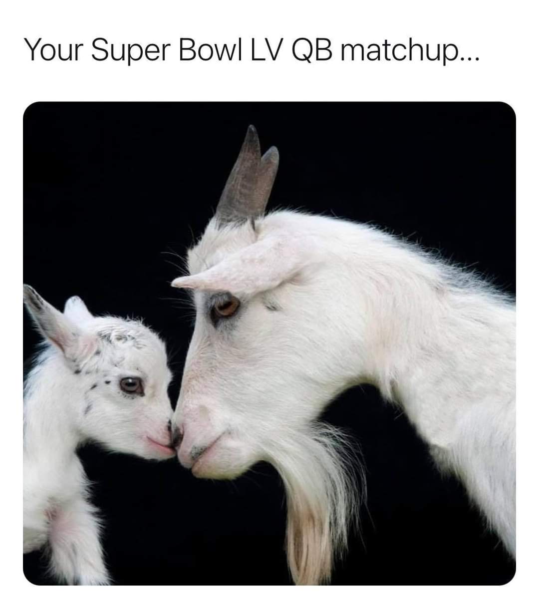 goat - Your Super Bowl Lv Qb matchup...