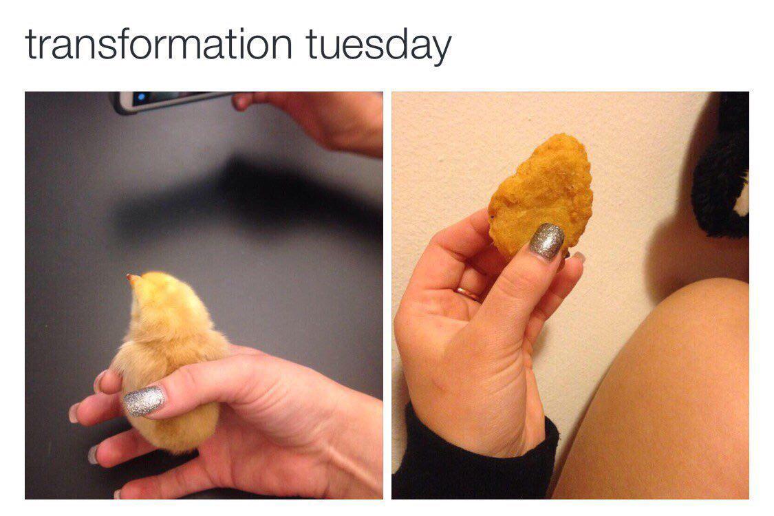 chicken nugget transformation - transformation tuesday