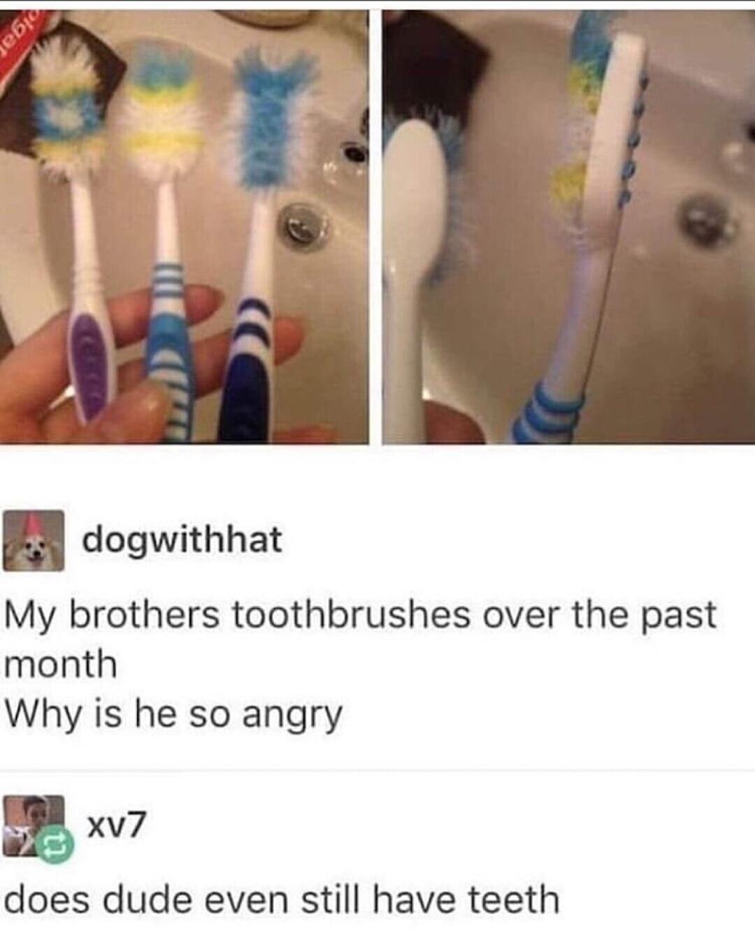 angry toothbrush meme - piga D dogwithhat My brothers toothbrushes over the past month Why is he so angry xyz does dude even still have teeth