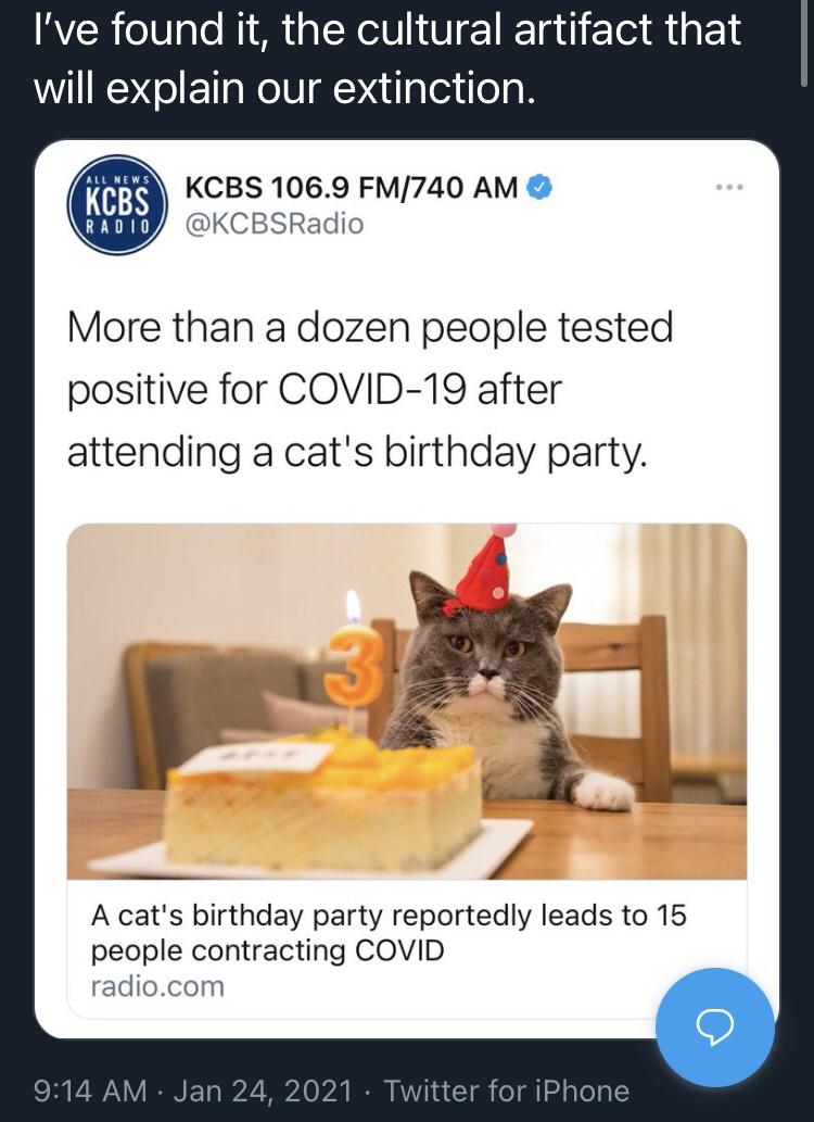 cat - I've found it, the cultural artifact that will explain our extinction. All New Kcbs Kcbs 106.9 Fm740 Am Radio More than a dozen people tested positive for Covid19 after attending a cat's birthday party. A cat's birthday party reportedly leads to 15 