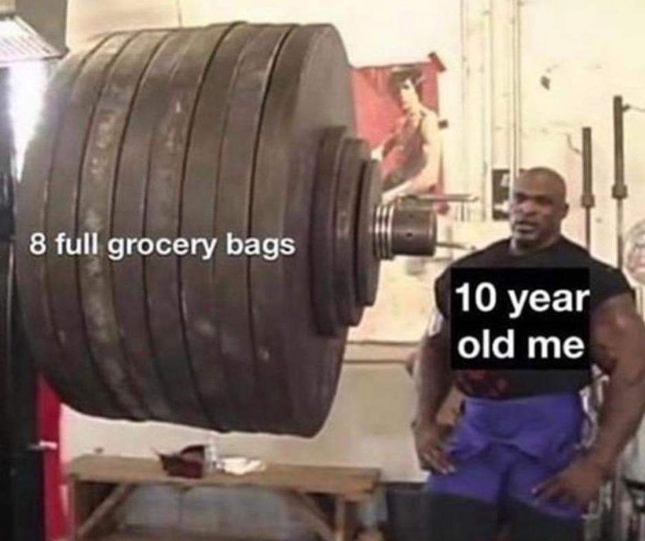 8 full grocery bags 10 year old me - 8 full grocery bags 10 year old me