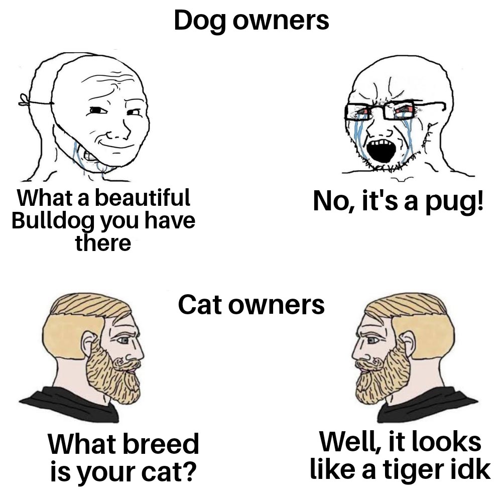 windows sucks i know meme - Dog owners No, it's a pug! What a beautiful Bulldog you have there Cat owners What breed is your cat? Well, it looks a tiger idk