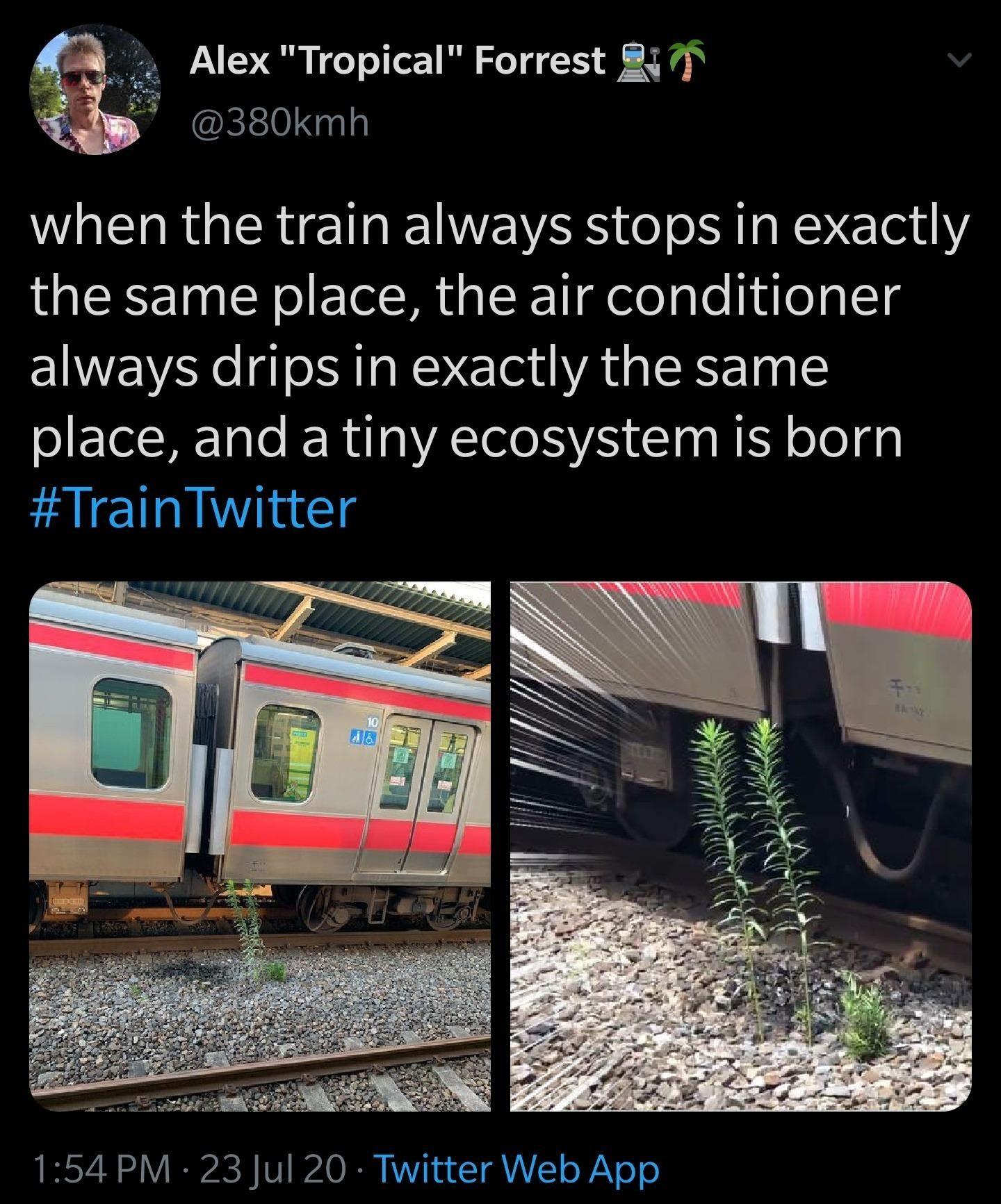 Alex "Tropical" Forrest in when the train always stops in exactly the same place, the air conditioner always drips in exactly the same place, and a tiny ecosystem is born Twitter 10 52 23 Jul 20 Twitter Web App