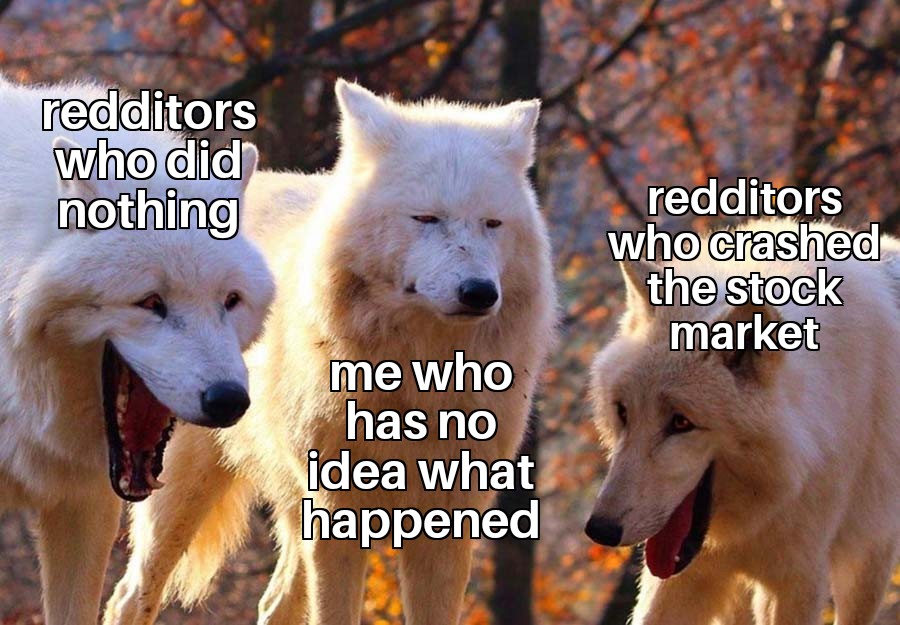 wolf meme karen - redditors who did nothing redditors who crashed the stock market me who has no idea what happened