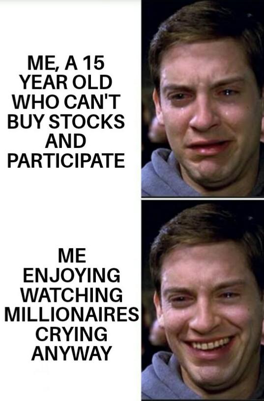 iam 4 parallel universes ahead of you - Me, A 15 Year Old Who Can'T Buy Stocks And Participate Me Enjoying Watching Millionaires Crying Anyway
