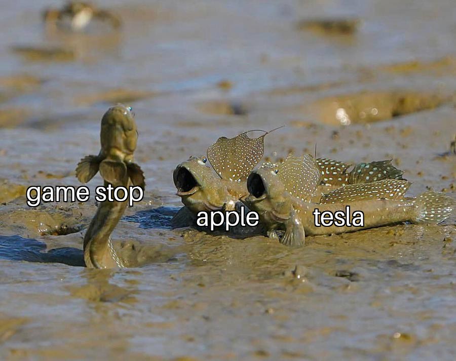 mudskipper meme template - game stop apple tesla