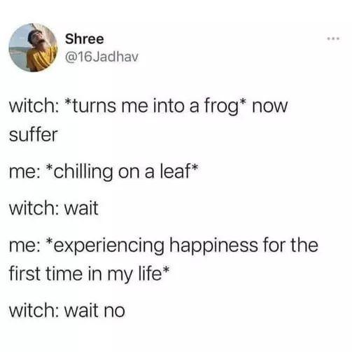 funny memes and pics - Humour - Shree witch turns me into a frog now suffer me chilling on a leaf witch wait me experiencing happiness for the first time in my life witch wait no