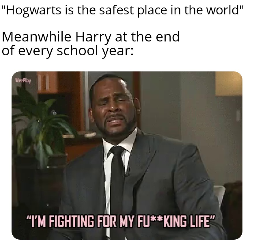 funny memes and pics - Digivolution - "Hogwarts is the safest place in the world" Meanwhile Harry at the end of every school year Wreplay "I'M Fighting For My FuKing Life"