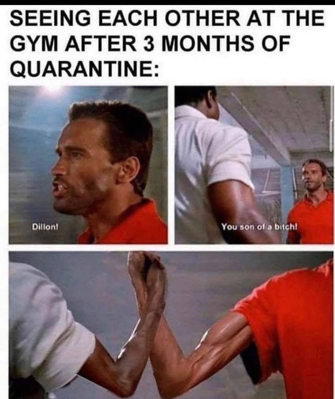 seeing each other at the gym after 3 months - Seeing Each Other At The Gym After 3 Months Of Quarantine Dillon! You son of a bitch!